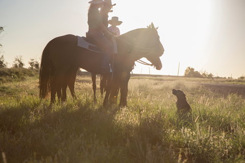 Balonne Cutting Horse Futurity - Northern Rivers Accommodation 0
