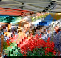 Ballina Missingham Farmers Market - Northern Rivers Accommodation