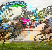 Bathurst Cup