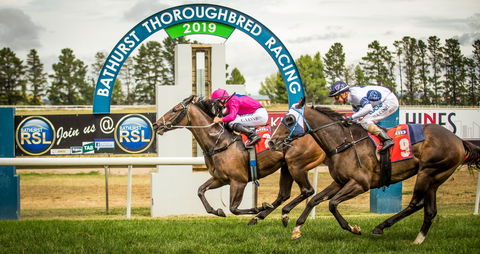 Bathurst Cup - Northern Rivers Accommodation 0