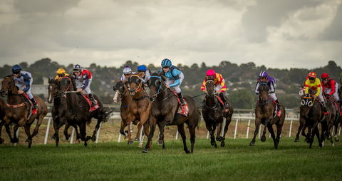 Bathurst Cup - Northern Rivers Accommodation 1