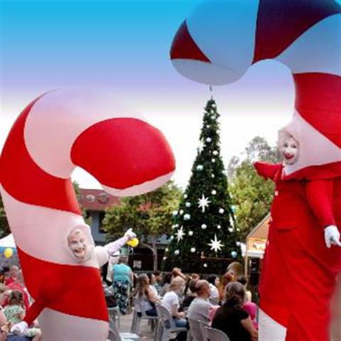 Blacktown Christmas Light Up Concert - Northern Rivers Accommodation 0