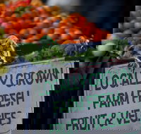 Blue Knob Community Market - Northern Rivers Accommodation