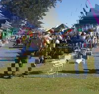 Casino Golf Club Markets - Northern Rivers Accommodation