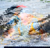 Cave Hill Creek Summer Camp - Northern Rivers Accommodation