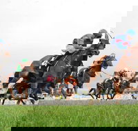 Christmas Cup Race Day - Northern Rivers Accommodation