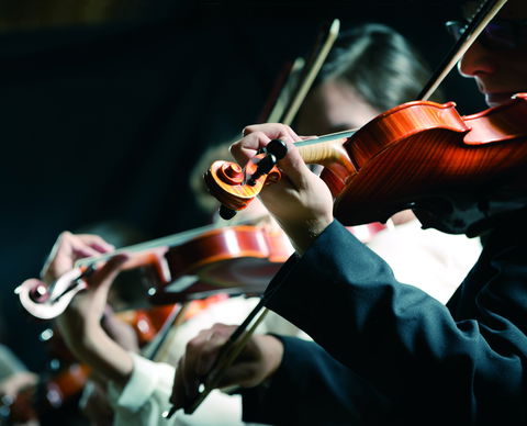 Crossroads Festival Of Chamber Music - Northern Rivers Accommodation 0