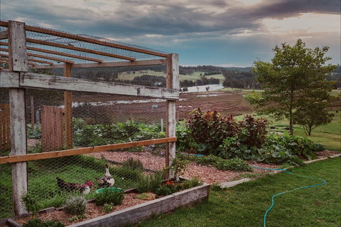 Cupitt's Growers Market - Northern Rivers Accommodation 1