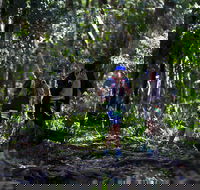 Elephant Trail Race