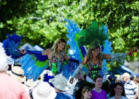 Family Fun Carnivale - Northern Rivers Accommodation 0