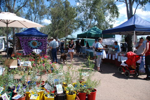Fernvale Country Markets - Northern Rivers Accommodation 0