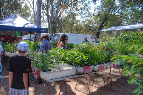 Fernvale Country Markets - Northern Rivers Accommodation 1