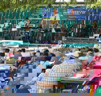 Festival in the Park - Northern Rivers Accommodation