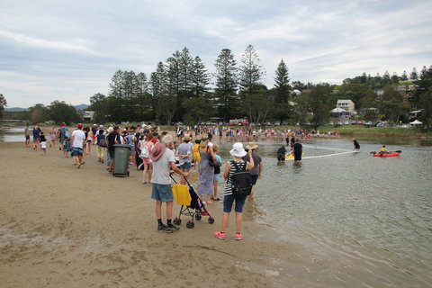 Gerringong Men’s Shed Annual Duck Derby - Northern Rivers Accommodation 2