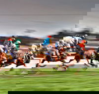 Grafton July Racing Carnival - Northern Rivers Accommodation