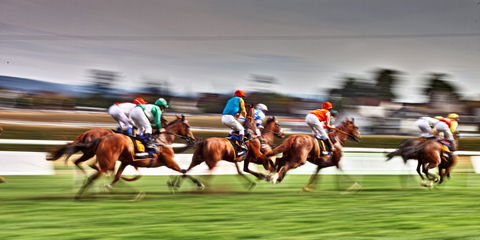 Grafton July Racing Carnival - Northern Rivers Accommodation 0