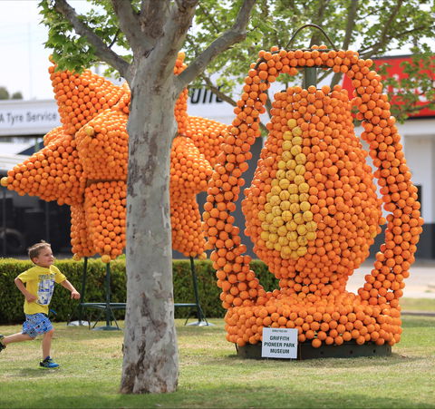 Griffith Spring Fest - Northern Rivers Accommodation 1