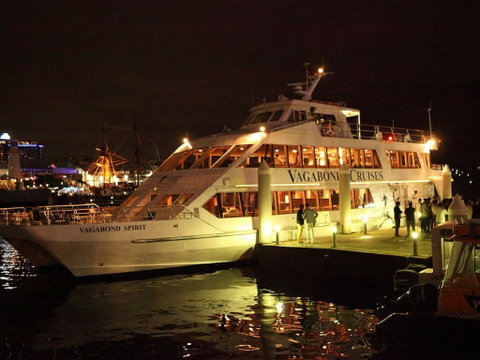 Halloween Party Cruise - Northern Rivers Accommodation 0