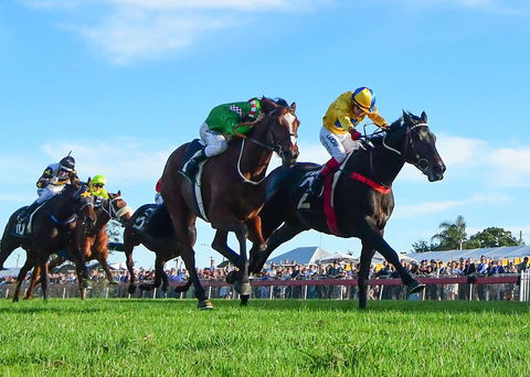 Ipswich Cup 2021 - Northern Rivers Accommodation 2