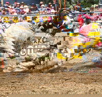 Jindabyne's Man From Snowy River Rodeo - Northern Rivers Accommodation