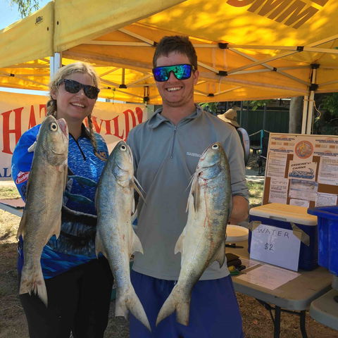 Karumba Anglers Classic - Northern Rivers Accommodation 1