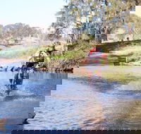 Mountain Man Tri Challenge - Northern Rivers Accommodation
