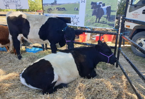 Murrumbateman Field Days - Northern Rivers Accommodation 2