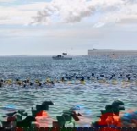 Nowra Toyota triHusky Huskisson Triathlon Festival Little Husky - Northern Rivers Accommodation