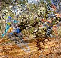 NSW State Downhill Mountain Bike Championships - Northern Rivers Accommodation