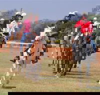 Pride of the West Races 2020 - Northern Rivers Accommodation