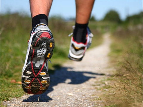 Run Dungog - Northern Rivers Accommodation 1