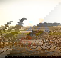 Rutherglen Gourmet Amble - Northern Rivers Accommodation