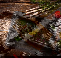 Seafood BBQ Cooking Class - Northern Rivers Accommodation