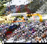 Snowies MTB Festival - Northern Rivers Accommodation