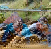 Suck It Up Buttercup Vikings Obstacle Course - Northern Rivers Accommodation