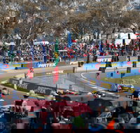 Supercars Supercheap Auto Bathurst 1000 - Northern Rivers Accommodation
