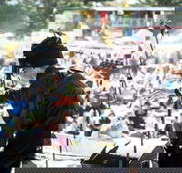 The Entrance Winter Blues and Jazz Festival - Northern Rivers Accommodation