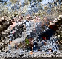 True Grit - Northern Rivers Accommodation