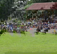 Tumut Derby Day - Northern Rivers Accommodation