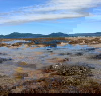 Walk to the Reef