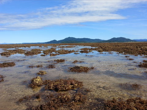 Walk To The Reef - Northern Rivers Accommodation 0