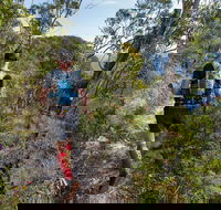 Wild Earth Coastal High 50 - Northern Rivers Accommodation