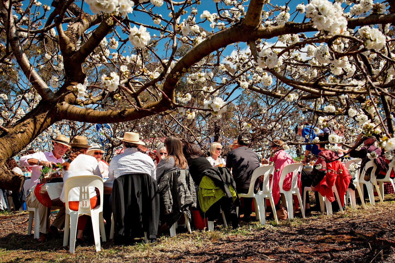 Maimuru NSW Northern Rivers Accommodation