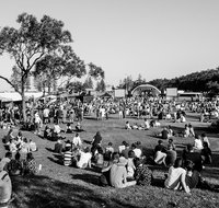 Yours and Owls Festival - Northern Rivers Accommodation