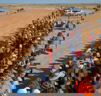 28th Marree Australasian CAMEL CUP 3 July 2021 - Northern Rivers Accommodation