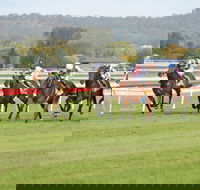 Aggies Race Day - Northern Rivers Accommodation