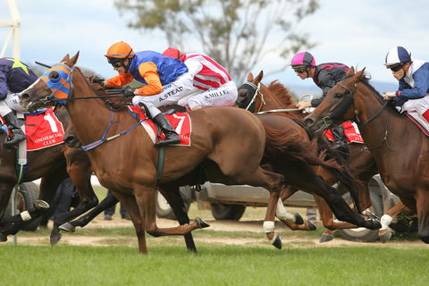 Albury Racing Club January Race Day - Northern Rivers Accommodation 1