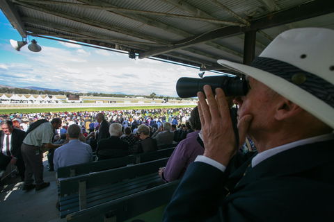 Albury Racing Club January Race Day - Northern Rivers Accommodation 2