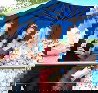 Bet 365 Caulfield Cup Day at Wodonga Race Course - Northern Rivers Accommodation