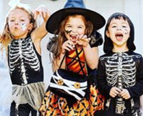 Boo! At The Zoo! - Northern Rivers Accommodation 2